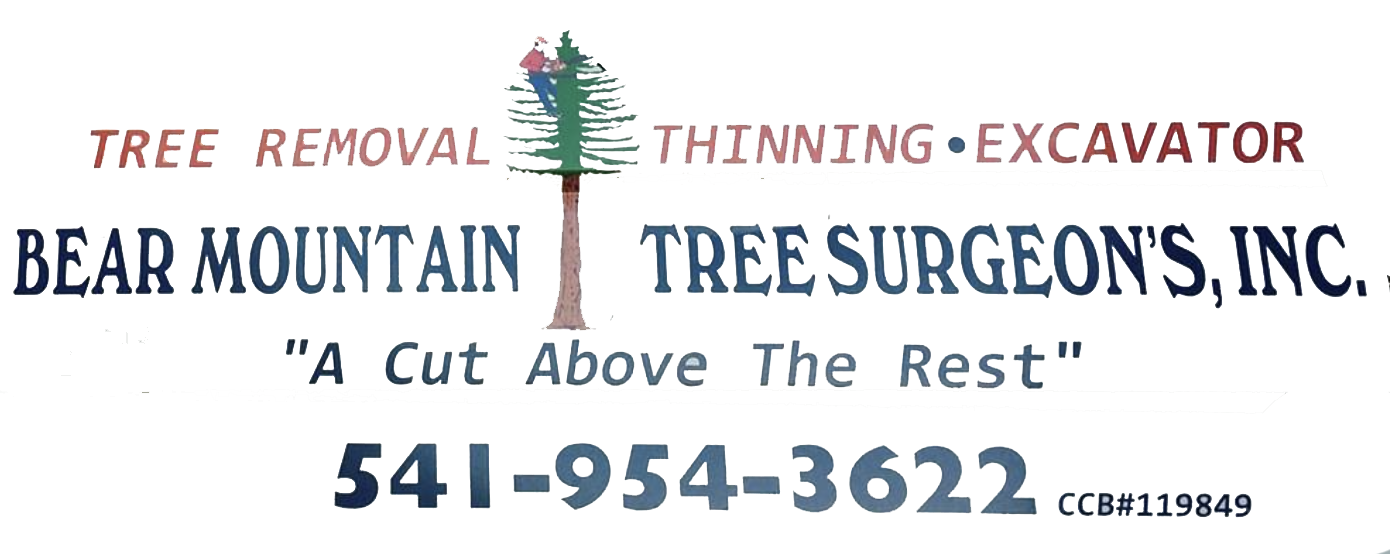 Bear Mountain Tree Surgeons Logo