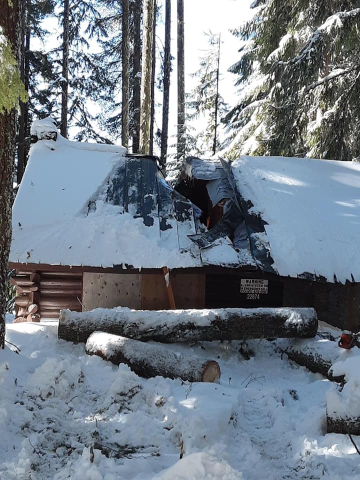 A snow-covered log cabin with a large hole in its roof and fallen trees nearby, surrounded by a snowy forest.